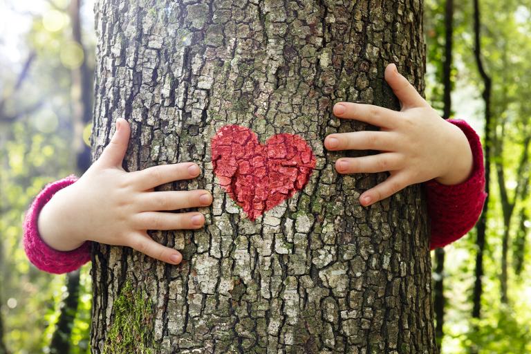 a little girl hugging a tree with a heart-shaped trail marker