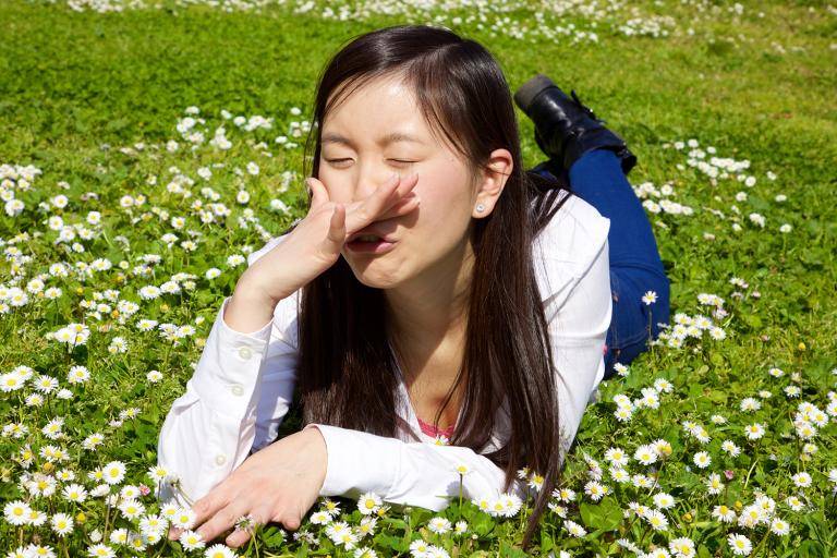 a young Asian girl sneezing in a field of clover