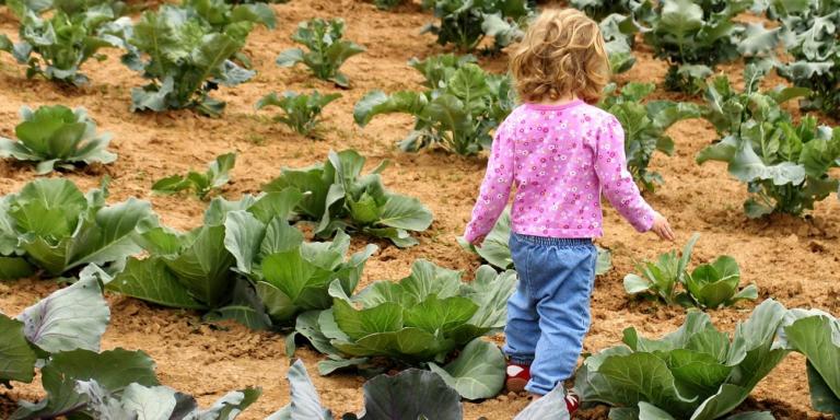 Feeding Fast Kids, Slow Food